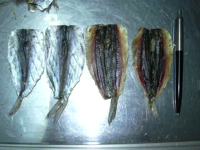 Сушеные морепродукты