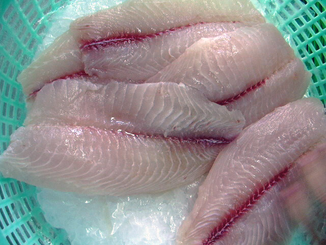 Тилапия и тилапия одно и тоже. Рыба телапия или тилапия. Тилапия пресноводная. Живая рыба тилапия. Тилапия.