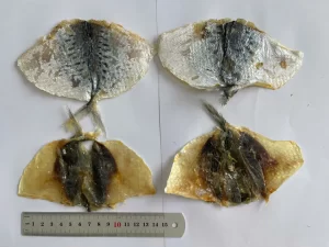 Dried salted large silver stripe fillet (серебрянка, лунная макрель, императорский полосатик купить)